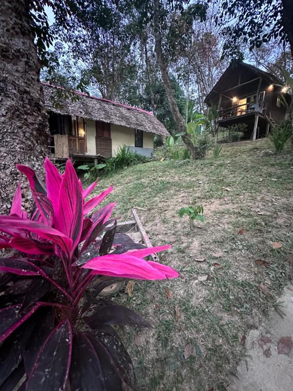 Koh Mook Mountain view