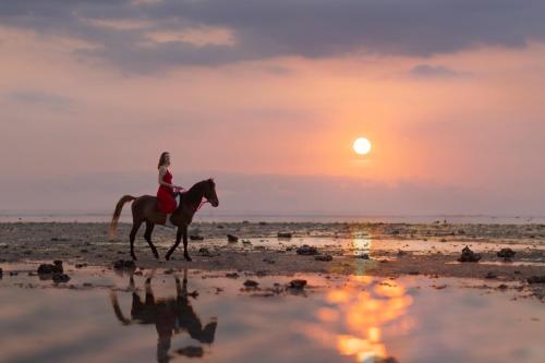 Imagen 2 de Kardia Resort Gili Trawangan A Pramana Experience